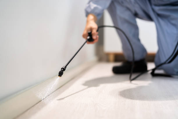 Bed Bug Pre-Treatment Preparation Assessment in Florham Park