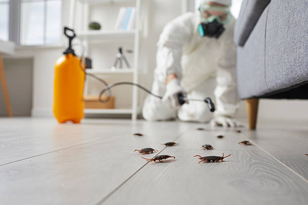 Post-Treatment Bed Bug Interceptor Monitoring in Florham Park