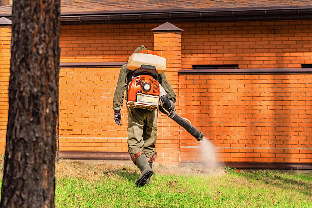 Bed Bug Clearance Verification and Documentation in Florham Park